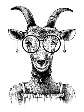 Hand drawn goat hipster