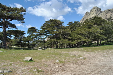 montagne corse