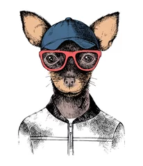 Poster Hand drawn toy terrier hipster © Marina Gorskaya