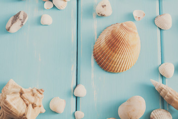 Seashells on blue wood, sea vacation background