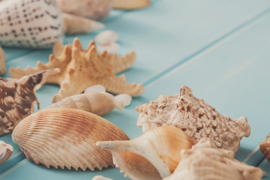 Seashells on blue wood, sea vacation background