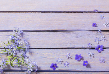 spring flowers on wooden background
