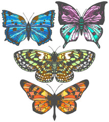 vector set of colorful hand-drawn butterflies