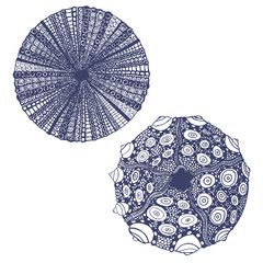 vector set of hand drawn urchins