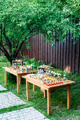 Beautiful catering banquet buffet table decorated in rustic style in the garden. Different snacks, sandwiches and cocktails. Outdoor, two tables with snacks under the tree. Vertical photo.
