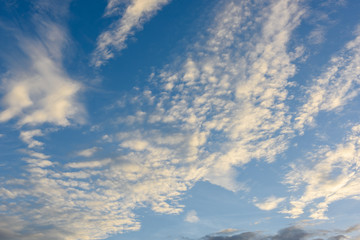 Beautiful cirrus clouds against the blue sky