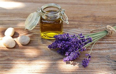 Lavendel