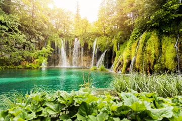 Foto op Plexiglas Waterfalls in Plitvice Lakes National Park, Croatia © ronstik