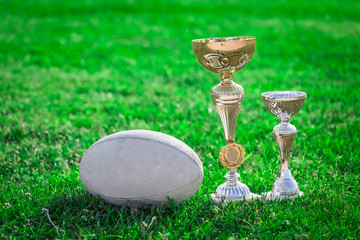 Rugby ball and rugby trophies on grass