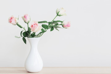 pink roses in vase on white background