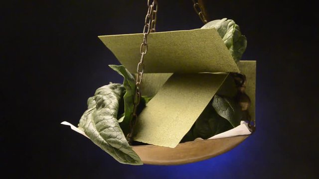Spinacia oleracea Lasa&ntilde;a de espinacas Lasagne spen&oacute;ttal mit Spinat Lasagne with spinach Lasagna aux &eacute;pinards Pasta với rau bina video agli spinaci ze szpinakiem Lazanje sa &scaron;pinatom 