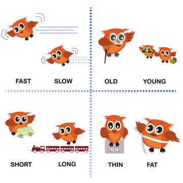 opposite word vector background for preschool (fast slow old young short long thin fat)