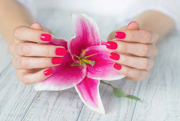 Obraz na płótnie Canvas Beautiful woman hands with pink manicure and lily
