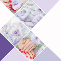 Collage with beautiful woman hands with pink manicure and sword lily flowers