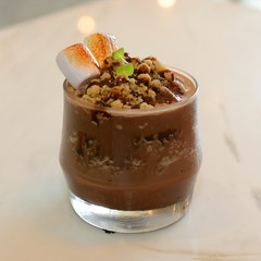Smores chocolate with roasted marshmallo and graham cracker