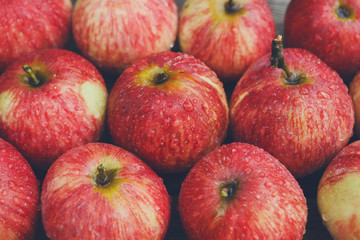 Sweet fresh ripe red apple harvest background