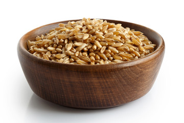 Kamut wheat kernels in dark wooden bowl isolated on white.