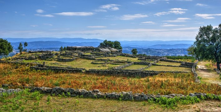 Cit&acirc;nia de Sanfins