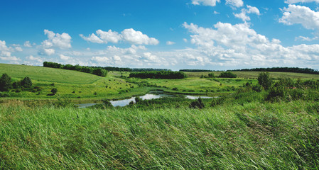 Sunny summer scene with small river