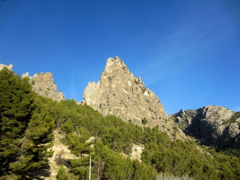 mountain peaks with pine forest