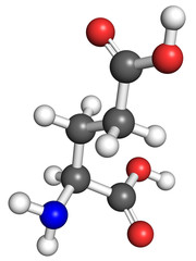 Obraz premium Glutamate molecule