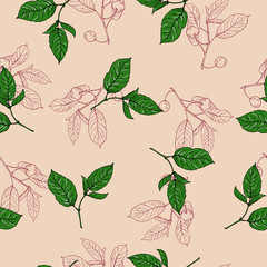 Seamless pattern with cherry berries and leaves on beige background. Hand drawn vector illustration.
