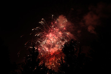 Red sparkly fireworks display