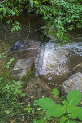 Des Moines Creek  Flowing 3