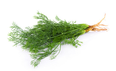 fresh dill on white background