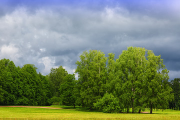 Summer landscape with meadow and trees before the rain