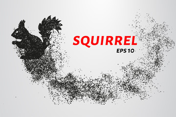 The squirrel from the particles. Silhouette of squirrel consists of small circles. Vector illustration.