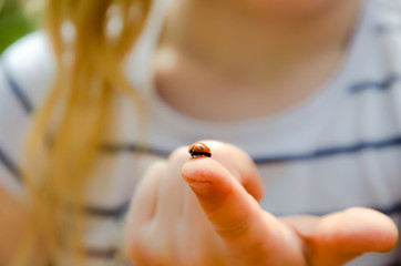 Biedronka na palcu © Katarzyna