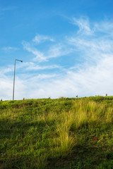 Sky with grass