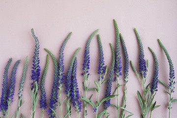 Blue wildflowers on a pink paper background. Floral background.