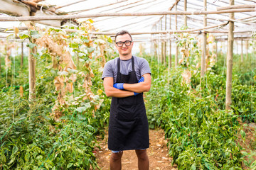 Young handsome man presenting his  vegetables business in a greenhouse