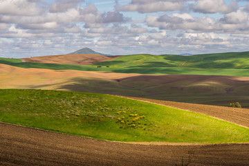 Amazing clouds over plowed fields, an incredible drawing of the earth. Kamiak Butte State Park, Whitman County, Washington, USA