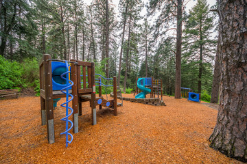 Playground in the forest. Kamiak Butte State Park, Whitman County, Washington, USA