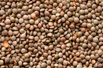 Background of unpeeled red lentils.