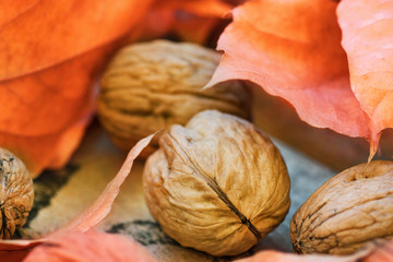 Walnuts colorful dry orange autumn leaves on weathered woof garden box, harvest, thanksgiving, halloween, fall mood, tranquility, cozy atmosphere