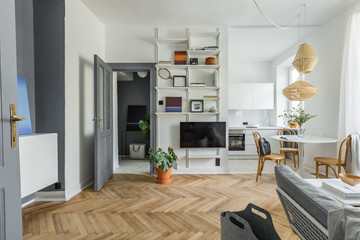 Apartment in scandinavian style