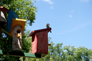 Lodge for birds – a nesting box