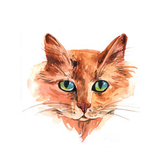 watercolor illustration with cat.