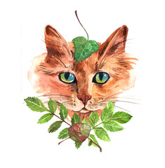 watercolor illustration with cat.