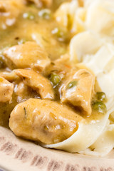 White chicken meat with sauce on the plate in closeup macro.