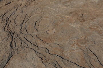 Rock texture. Close up