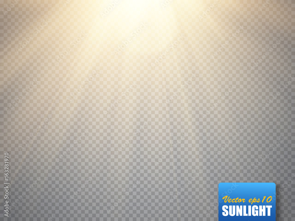 Wall mural sun isolated on transparent background. vector illustration.