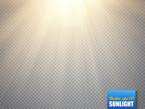Sun isolated on transparent background. Vector illustration.