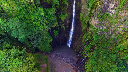 Naklejka na ściany i meble vu aérienne d'une forêt tropicale avec cascade en polynésie 