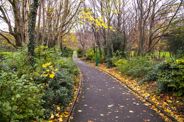 Walkway outdoor fall