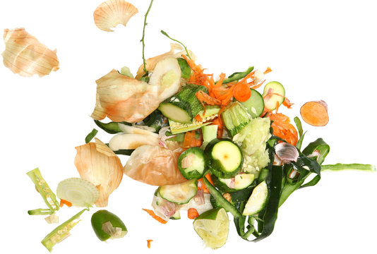 Vegetable Scraps for Compost